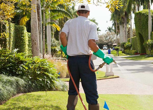 About Andover ME Pest Control